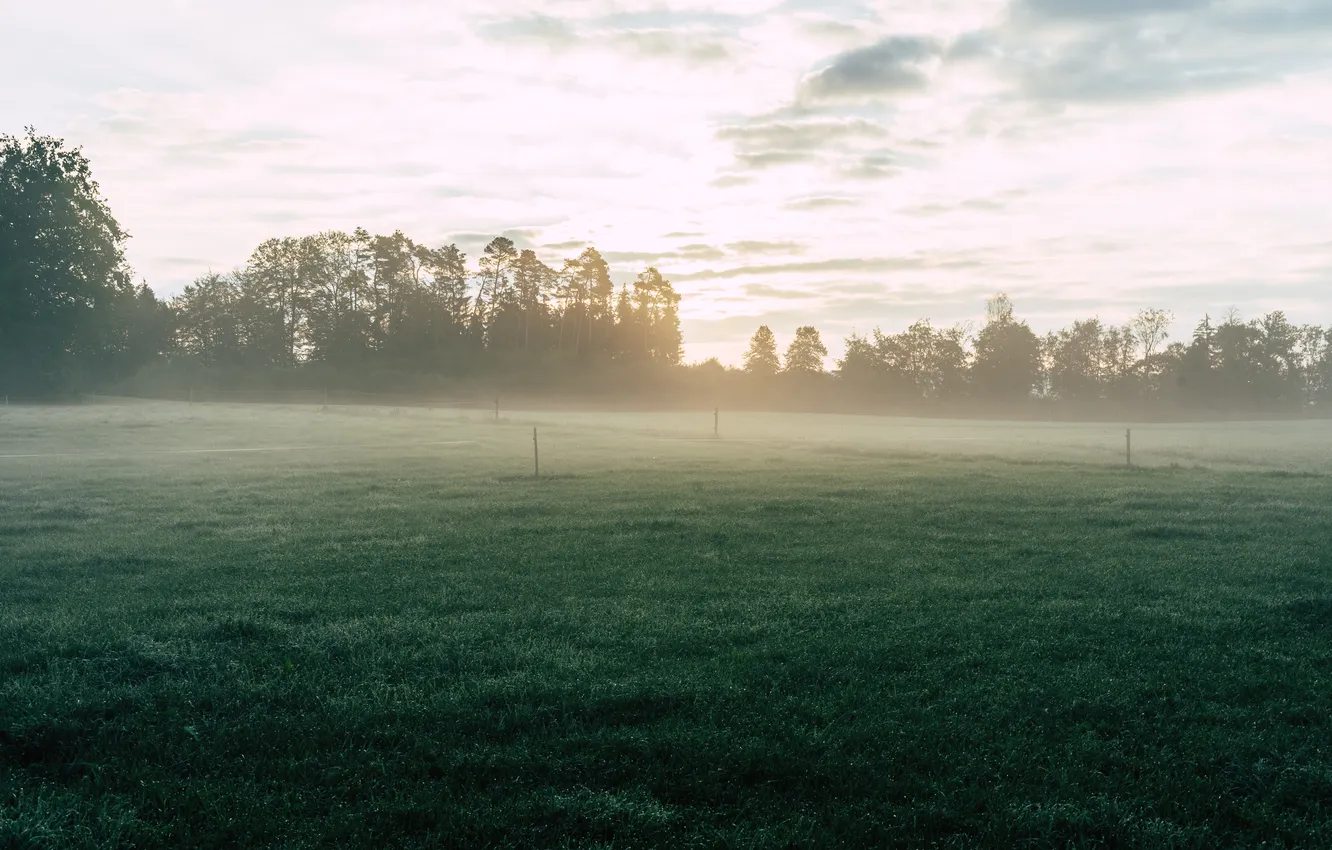 Photo wallpaper field, the sky, clouds, trees, landscape, nature, fog, dawn