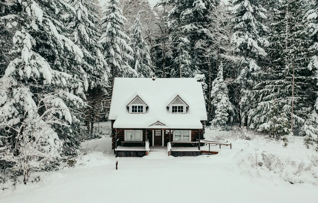 Photo wallpaper winter, forest, snow, trees, nature, house
