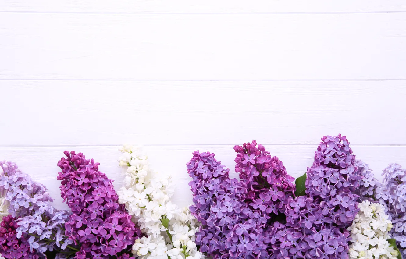 Photo wallpaper flowers, background, wood, flowers, lilac, purple, lilac