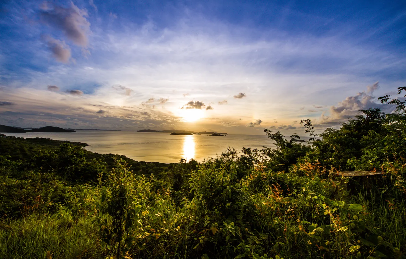 Photo wallpaper sea, greens, clouds, sunset, shore, island