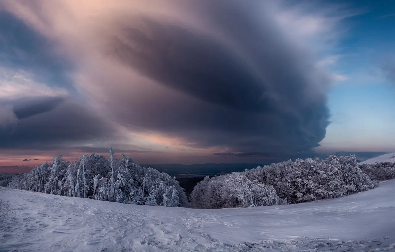 Photo wallpaper winter, the sky, snow, trees