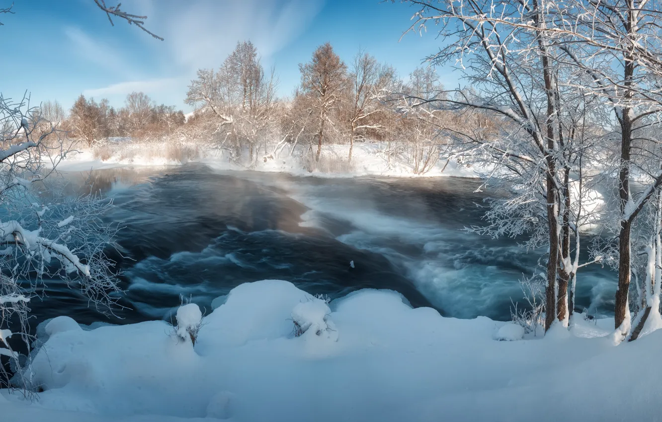 Photo wallpaper winter, snow, trees, landscape, nature, river, Bank, Coat of arms
