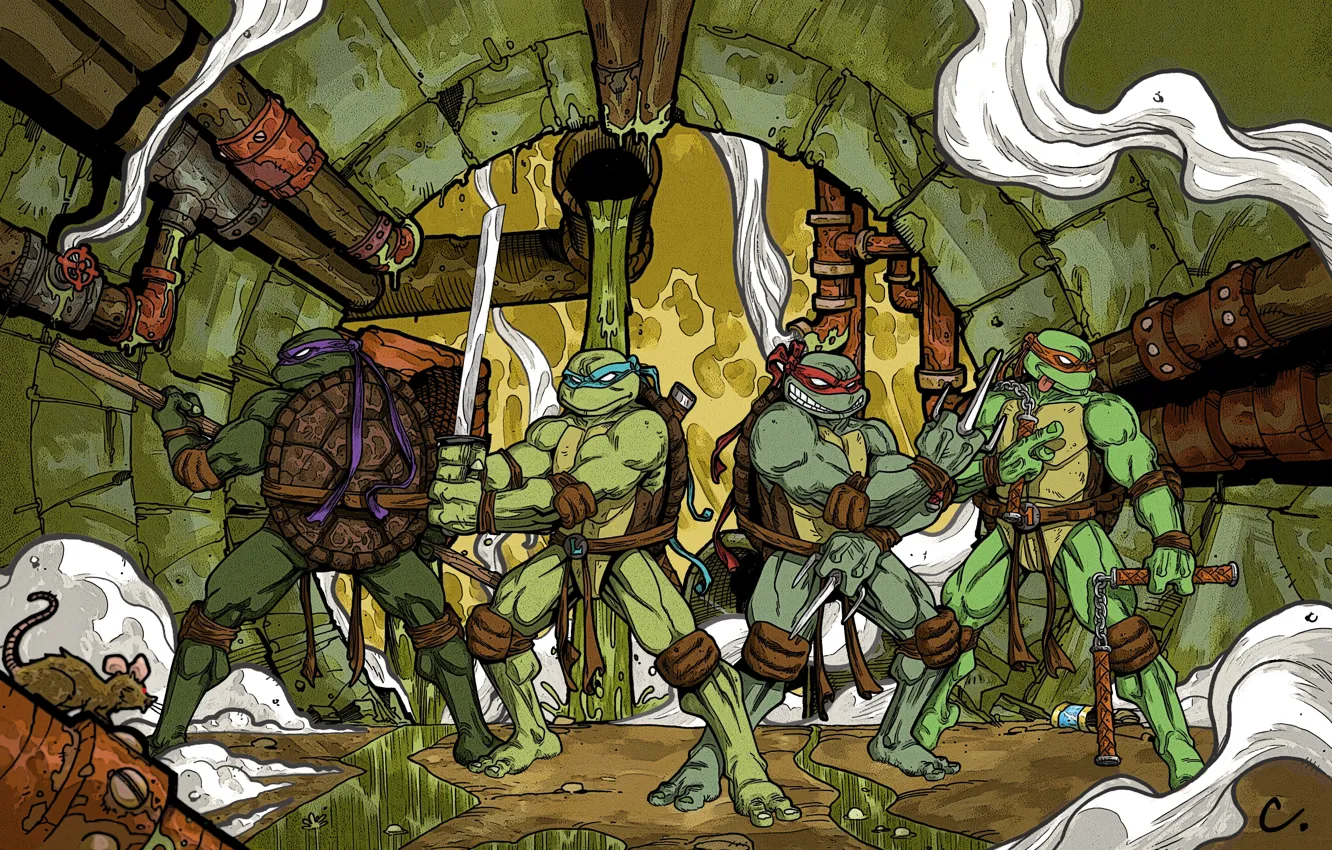 Photo wallpaper Rafael, Donatello, Leonardo, Michelangelo, teenage mutant ninja turtles