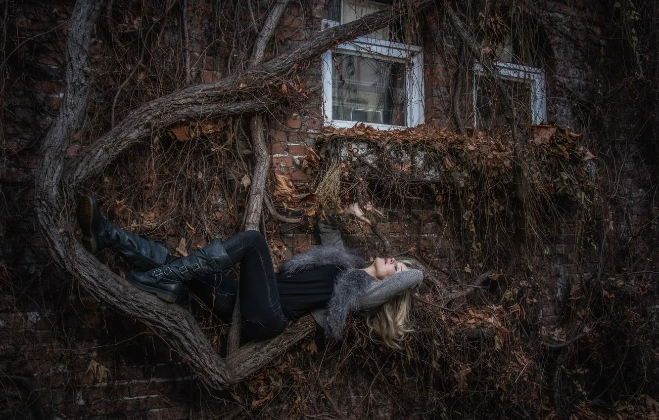 Photo wallpaper girl, trees, thickets, home