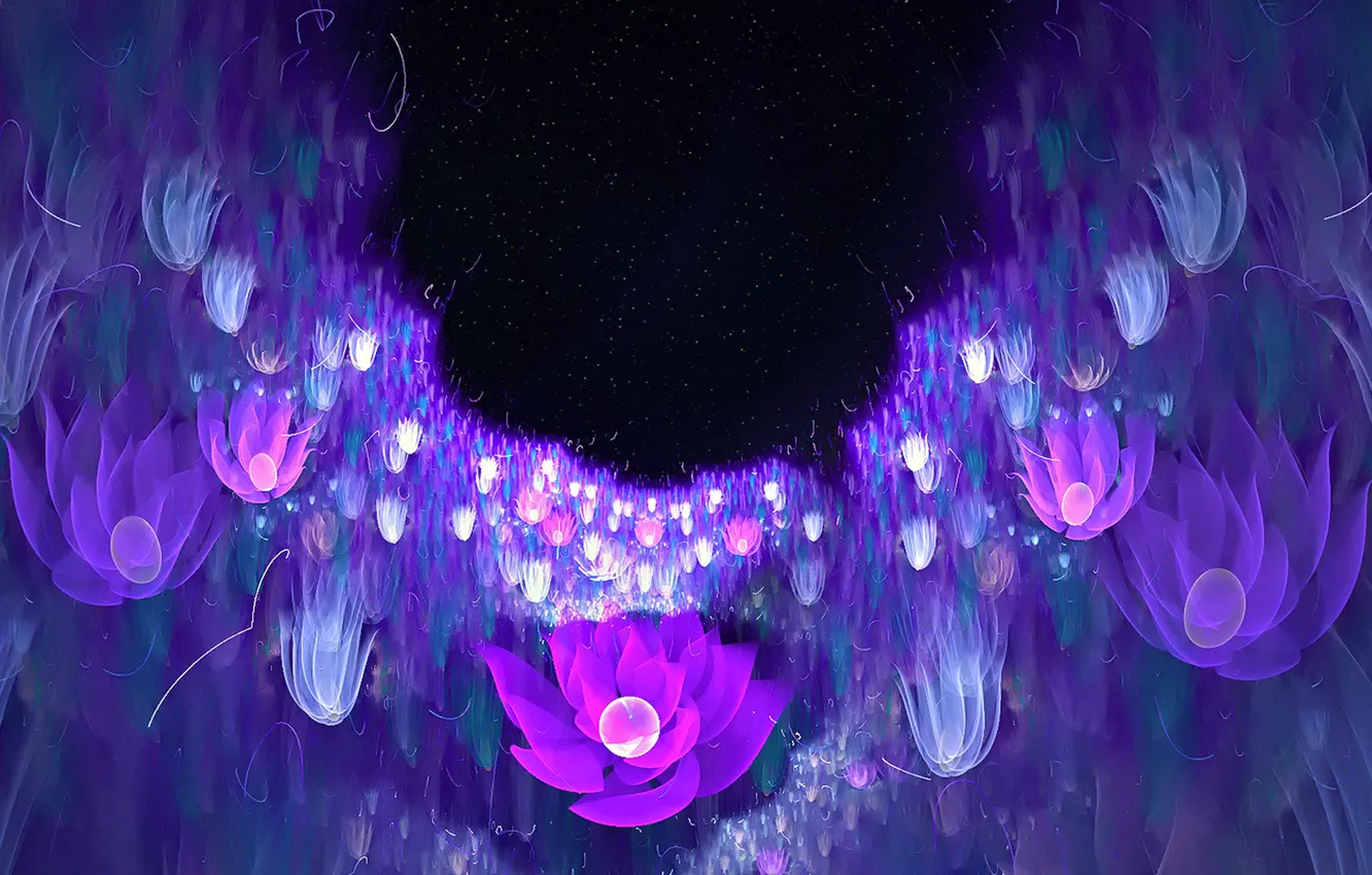 Photo wallpaper flowers, night, background, petals, meadow