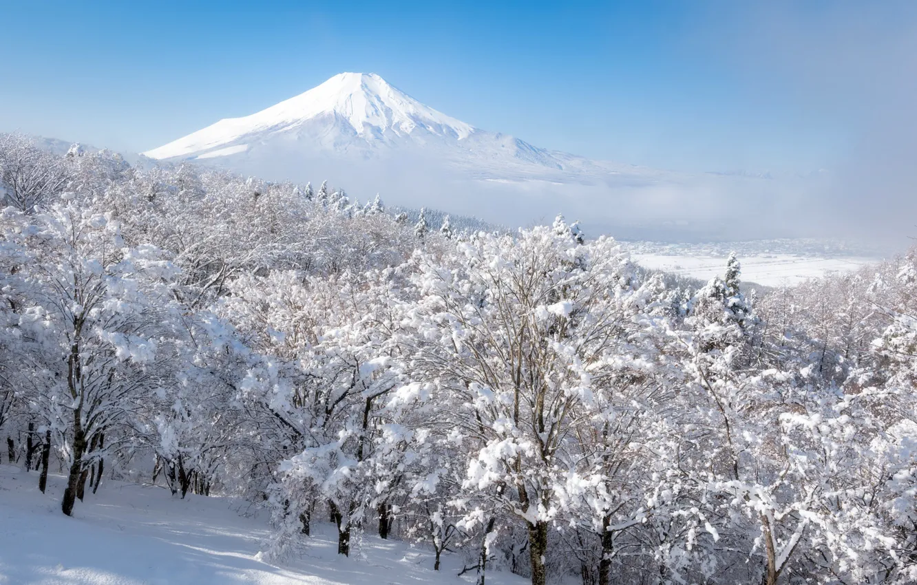 Photo wallpaper winter, forest, the sky, snow, trees, fog, mountain, the volcano