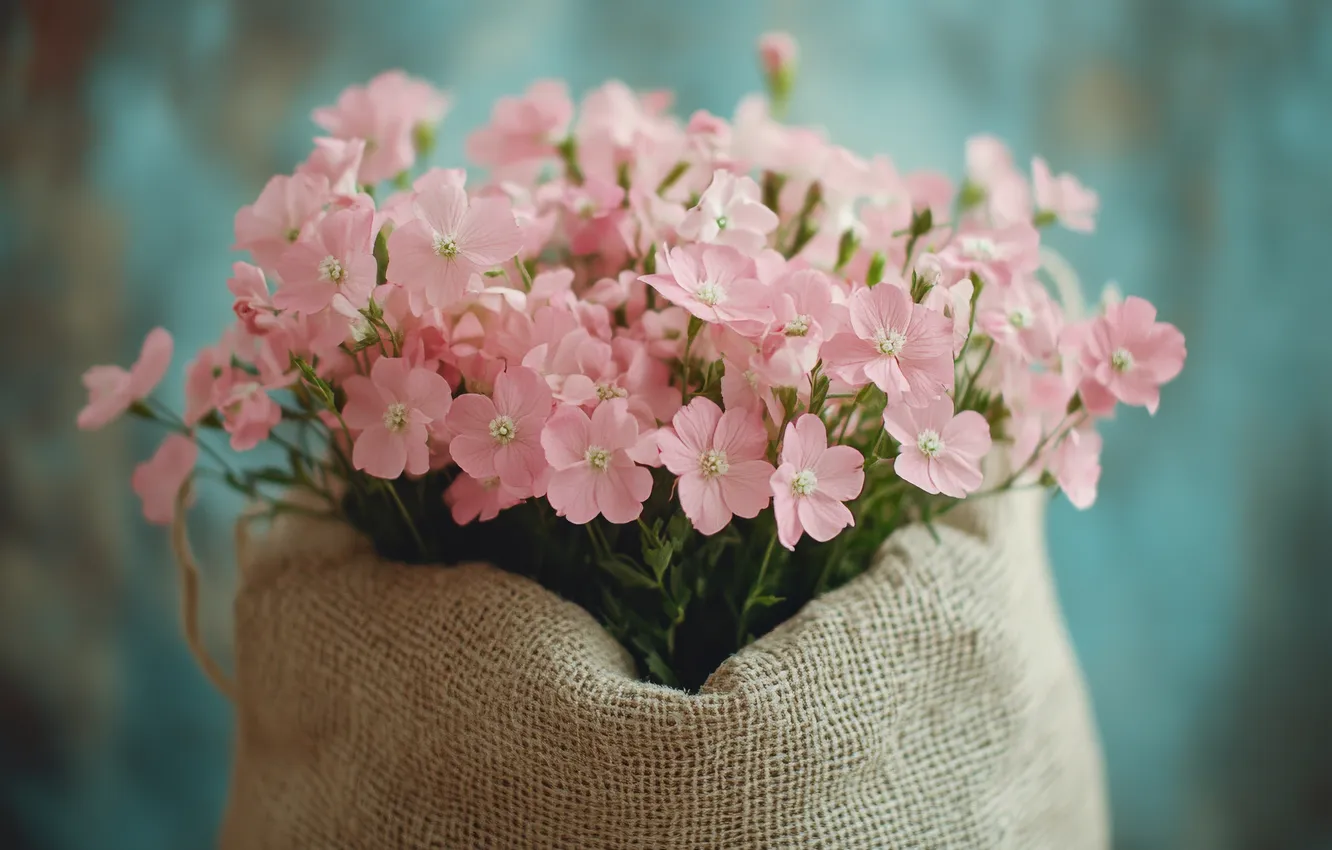 Photo wallpaper flowers, bouquet, gentle, pink, bag, AI art, neural network