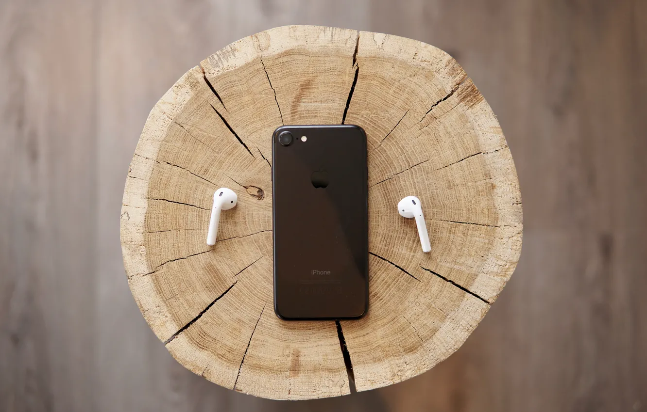 Photo wallpaper macro, tree, black, iPhone, stump, headphones, wood, slice