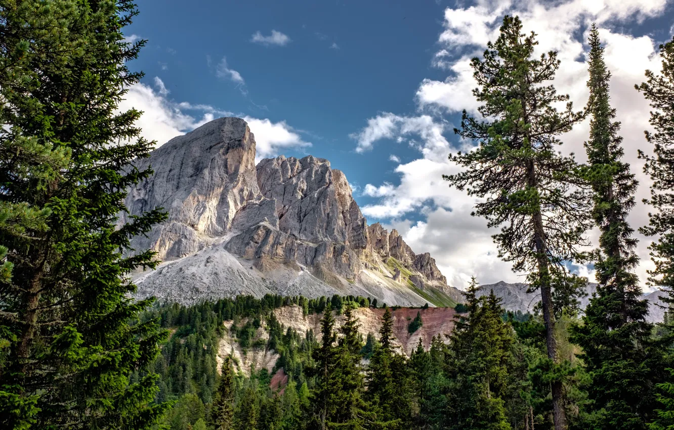 Photo wallpaper forest, the sky, clouds, trees, mountains, nature, rocks, Italy