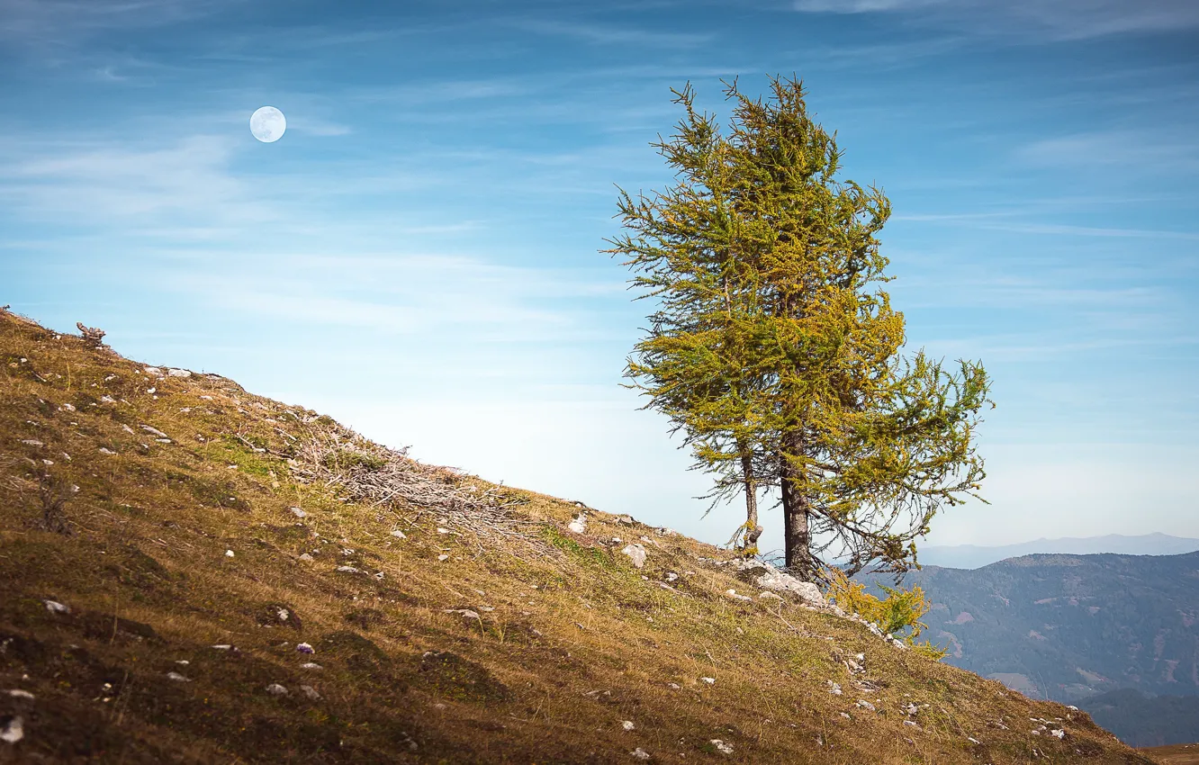 Photo wallpaper autumn, the sky, clouds, trees, mountains, blue, hills, the moon