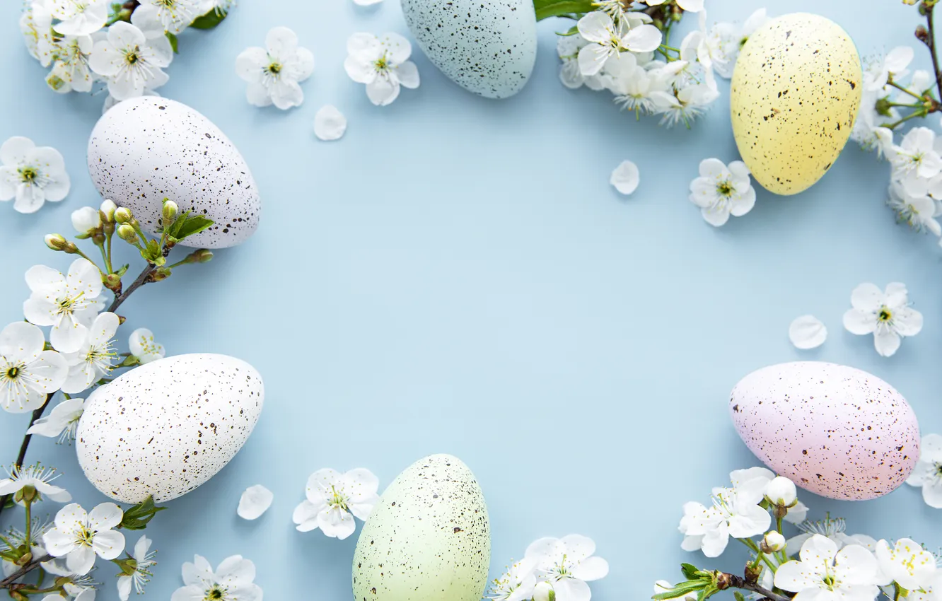 Photo wallpaper flowers, eggs, spring, colorful, Easter, happy, flowers, spring