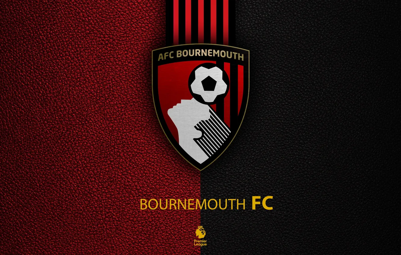 Photo wallpaper wallpaper, sport, logo, football, English Premier League, Bournemouth