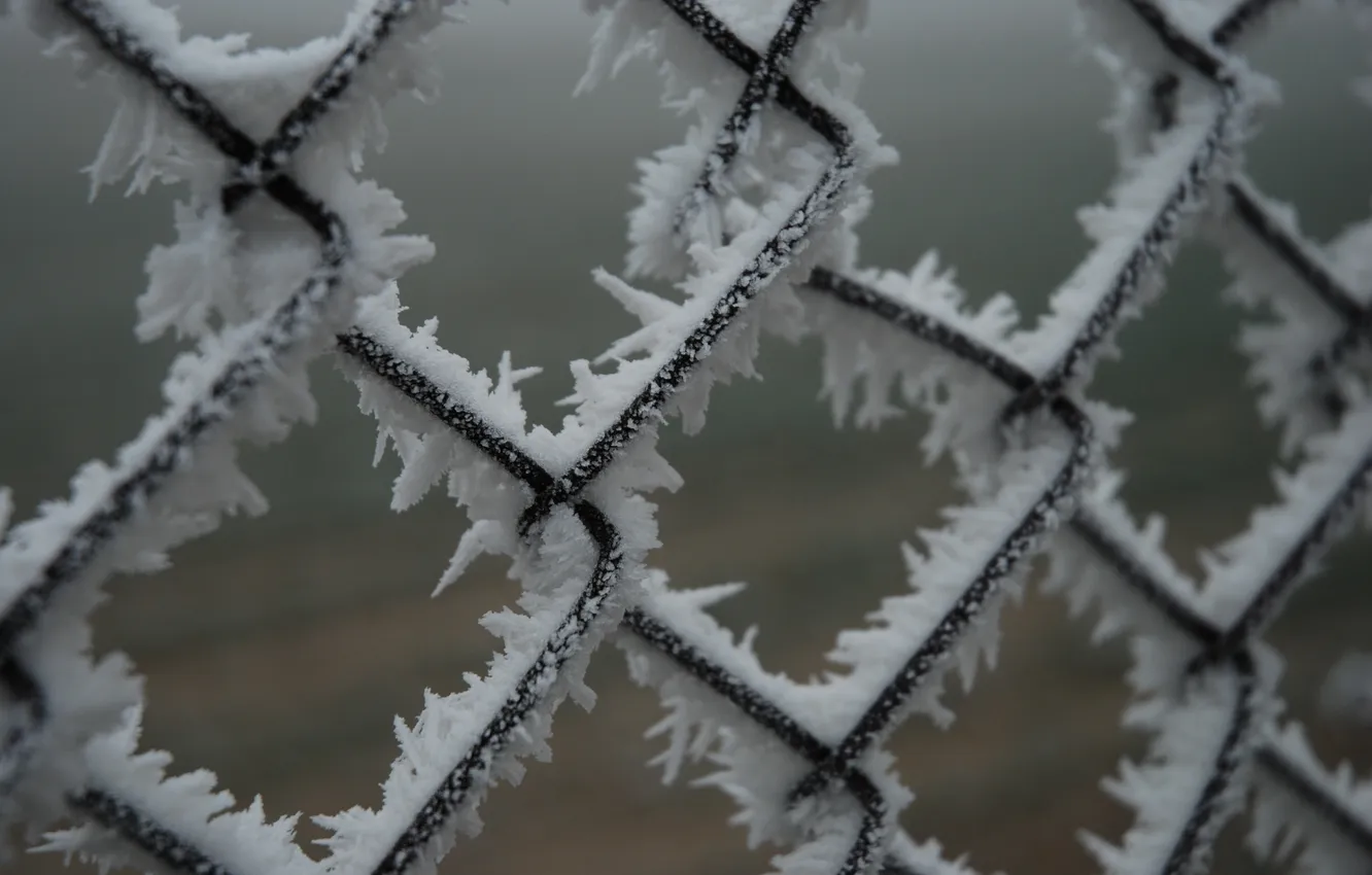 Photo wallpaper frost, snow, grille