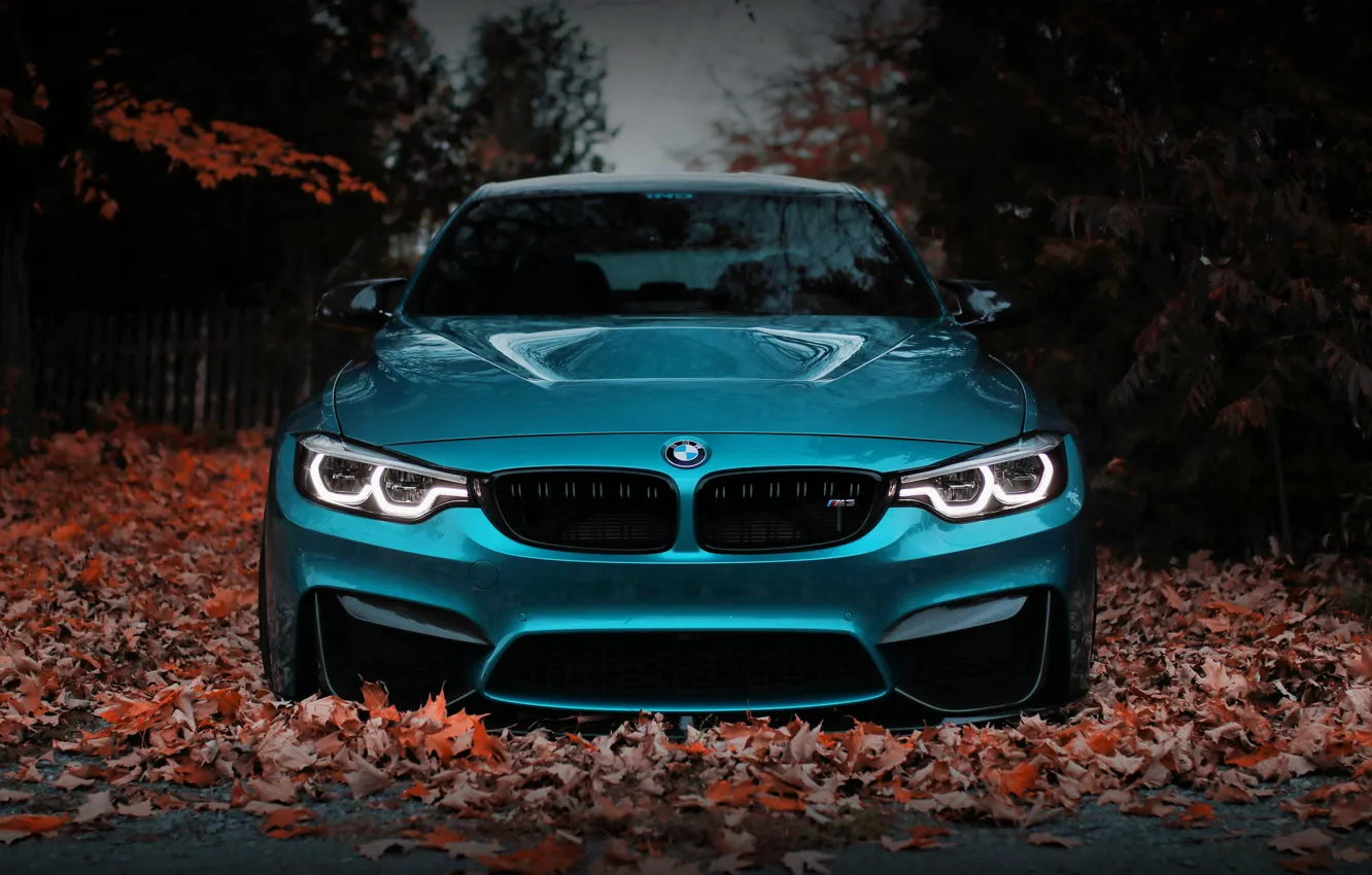 Photo wallpaper BMW, Blue, Front, Autumn, Face, F80, Sight