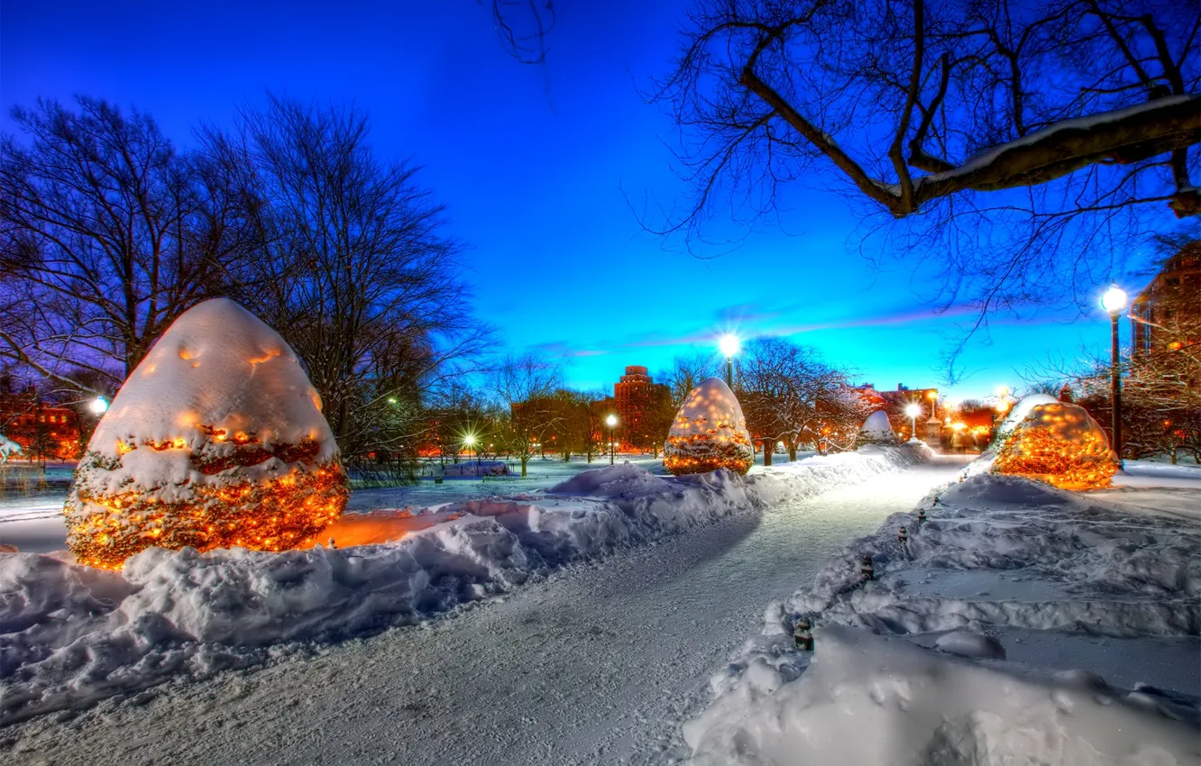 Photo wallpaper winter, the sky, snow, lights, the evening, USA, Boston