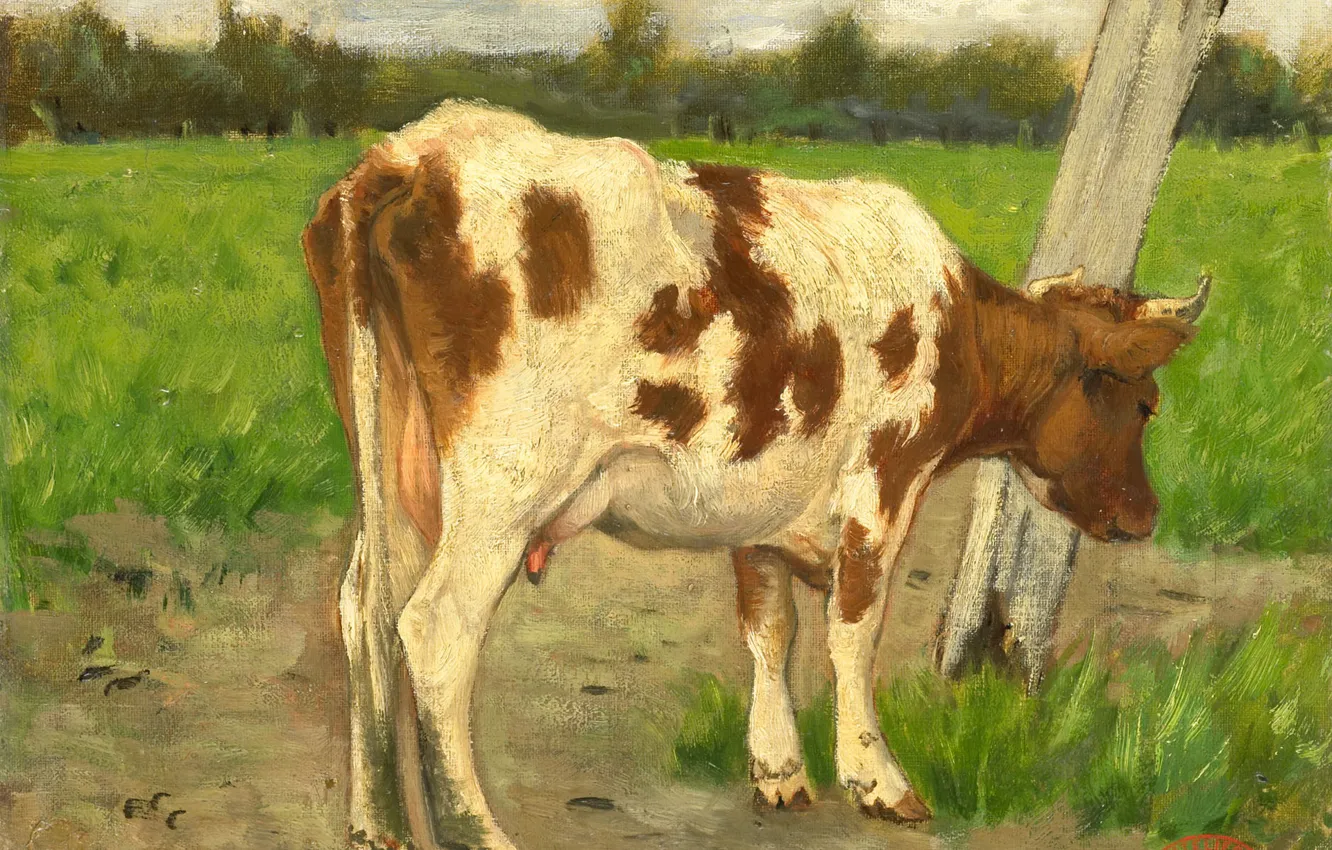 Photo wallpaper oil, picture, 1903, Cow, George Jan Hendrik Roggenbuck, George Poggenbeek