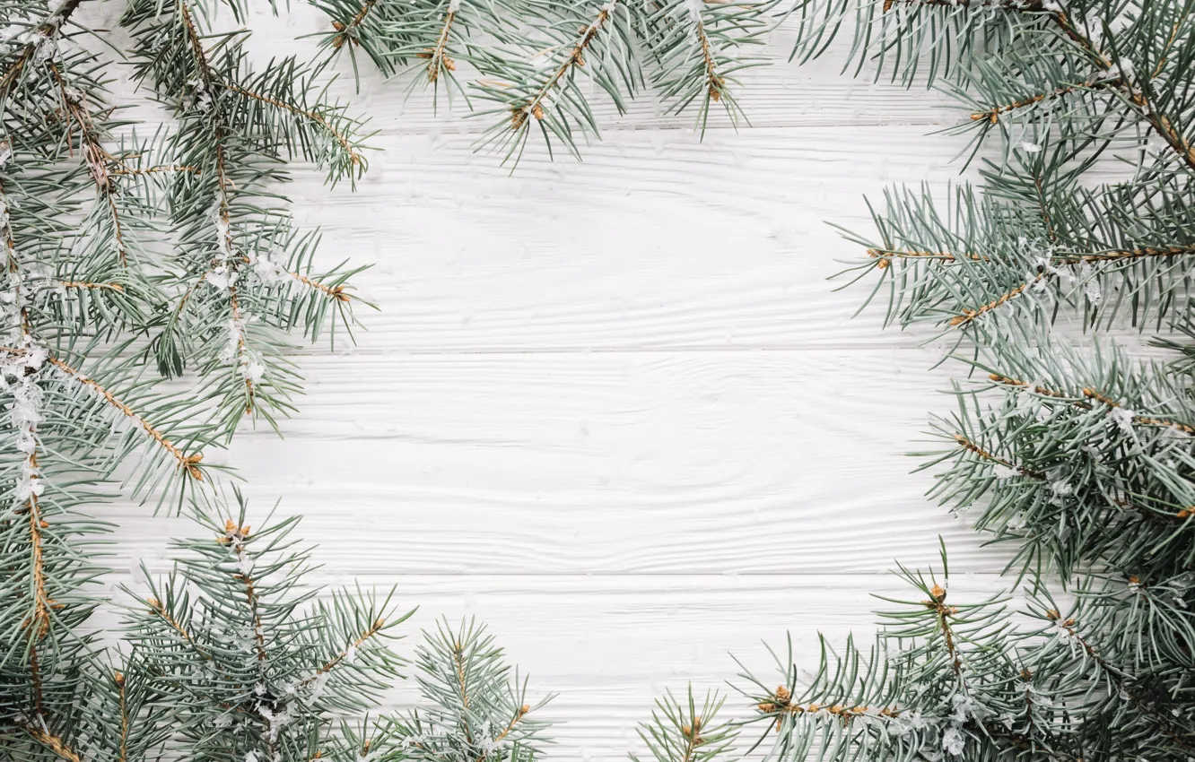Photo wallpaper snow, background, tree, new year, Christmas, Christmas, wood, snow