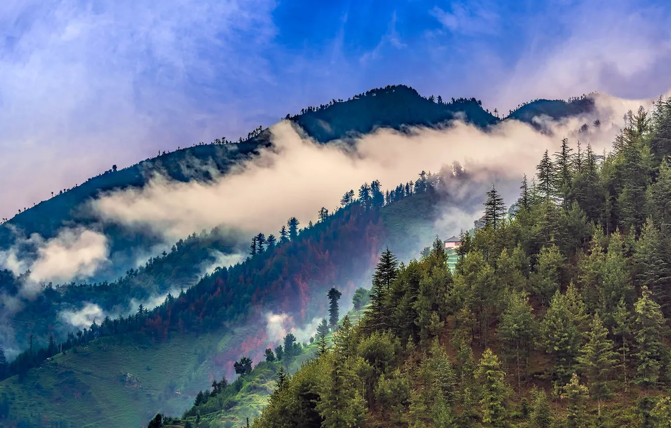 Photo wallpaper forest, clouds, mountains, India, Jangeli