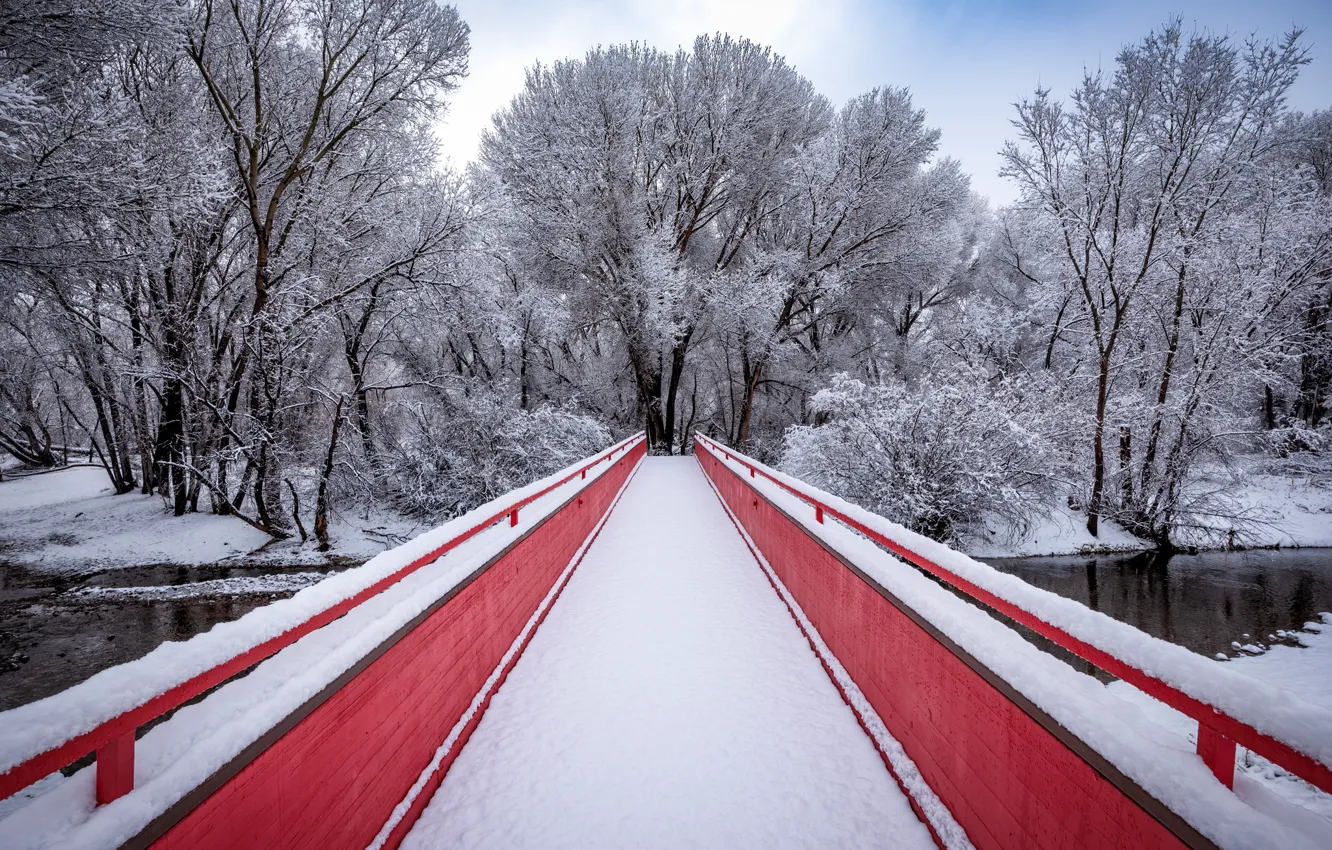 Photo wallpaper winter, bridge, Park
