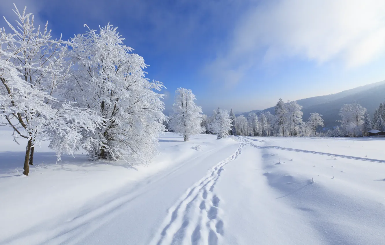 Photo wallpaper winter, the sky, clouds, snow, trees, landscape, mountains, nature