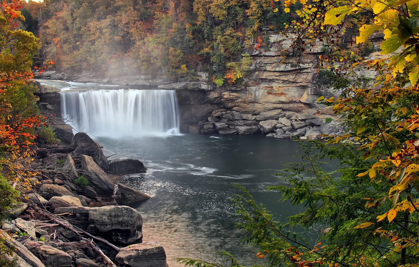 Photo wallpaper autumn, forest, trees, squirt, fog, river, waterfall, USA