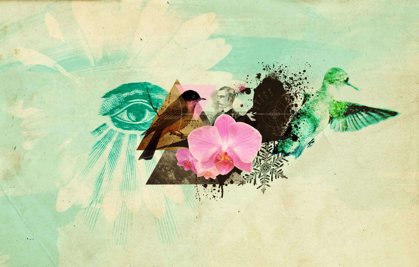 Photo wallpaper flower, birds, eyes, collage, Abstractia