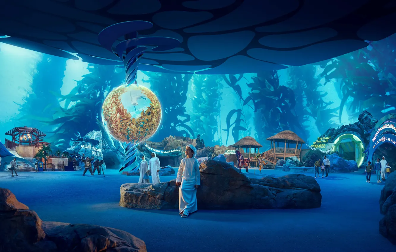 Photo wallpaper interior, Abu Dhabi, Abu Dhabi, sea world, Theme Park, SeaWorld