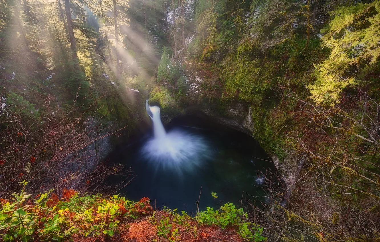 Photo wallpaper autumn, forest, water, nature, lake, waterfall, morning