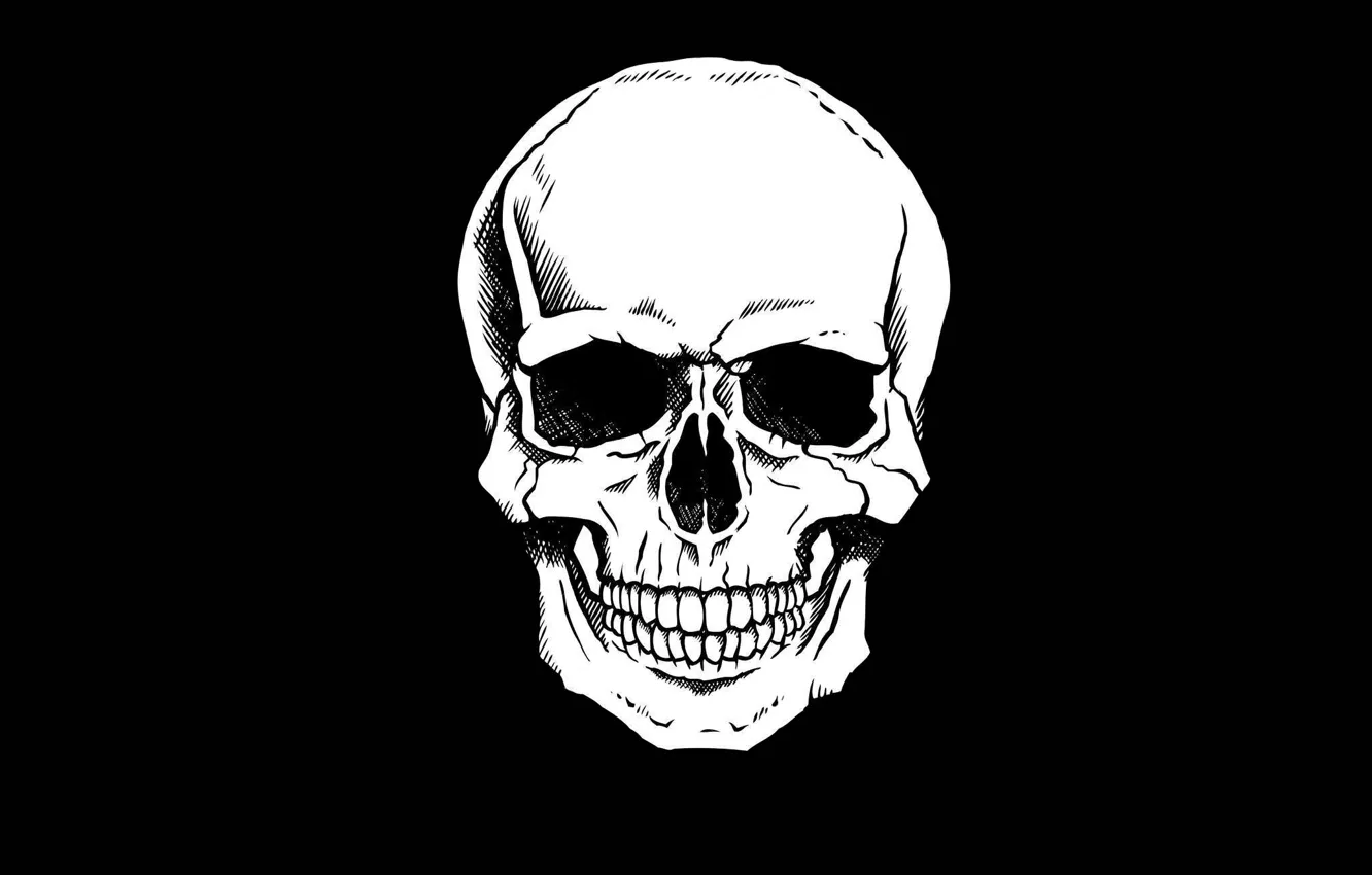 Photo wallpaper skull, minimalism, head, skeleton, sake, black background