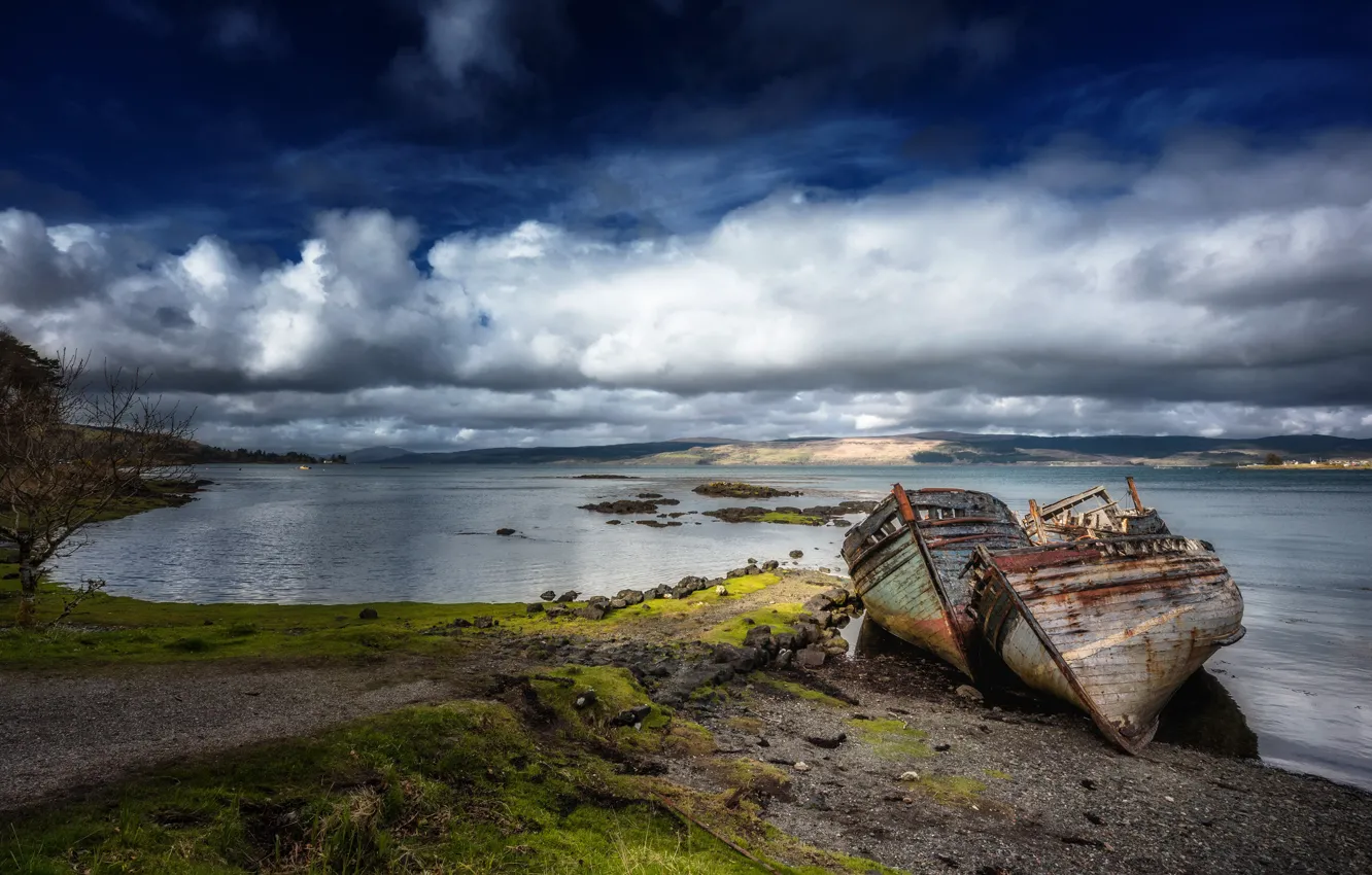 Photo wallpaper the sky, grass, clouds, landscape, branches, blue, river, blue