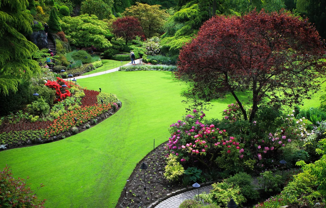 Photo wallpaper trees, flowers, nature, Park, plant, garden