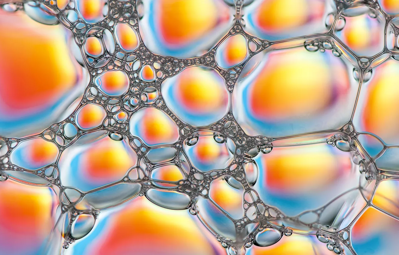 Photo wallpaper foam, bubbles, Shine, color, liquid, the volume