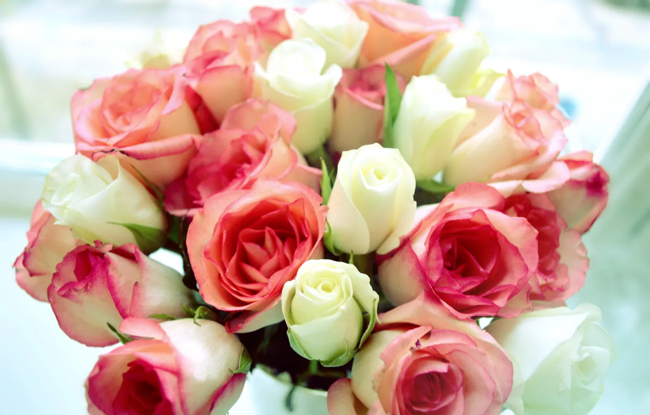 Photo wallpaper white, flowers, pink, roses, bouquet, white roses, pink roses