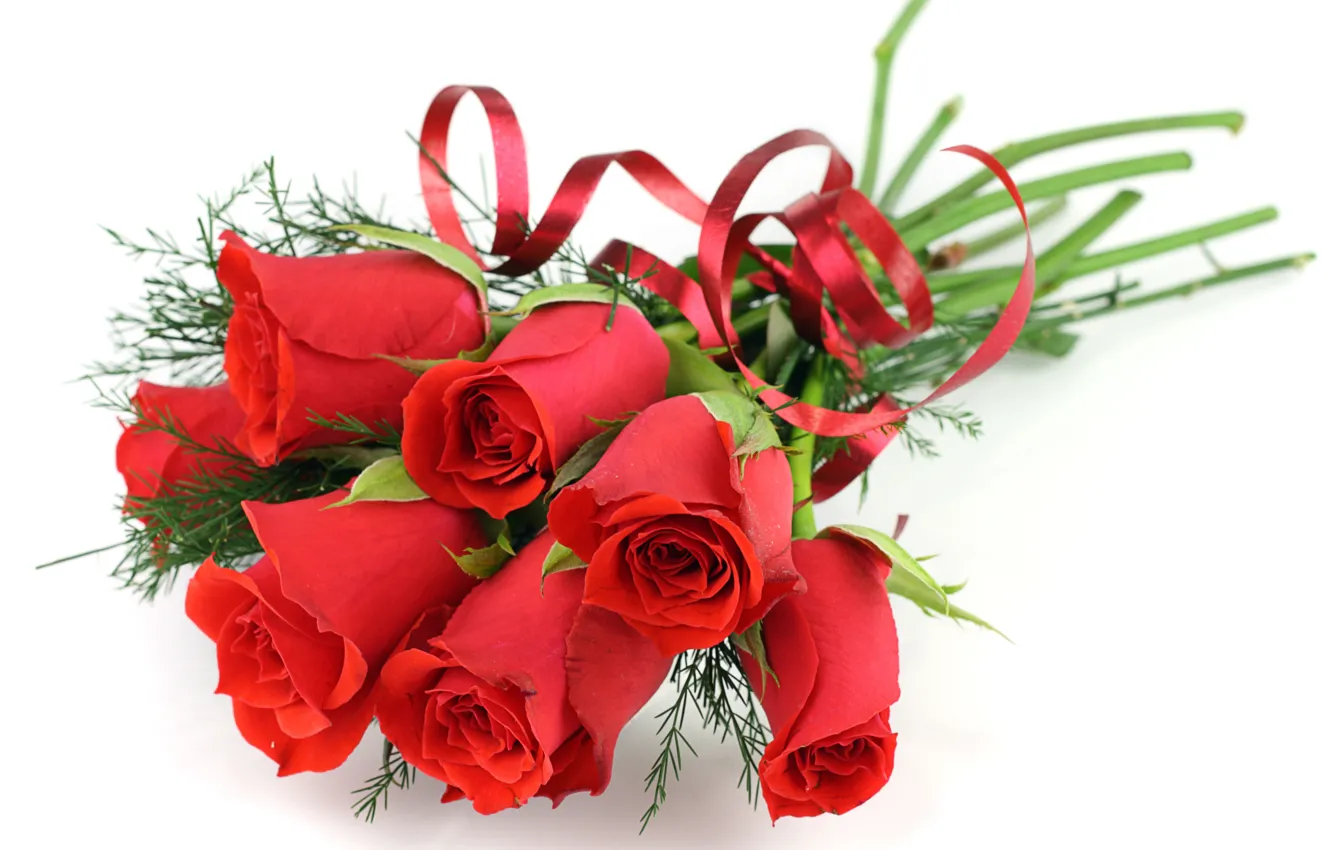 Photo wallpaper flowers, red, roses, bouquet, white background, ribbon