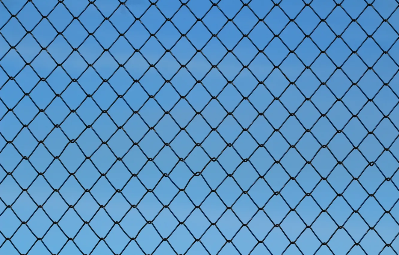 Photo wallpaper mesh, the fence, texture, netting