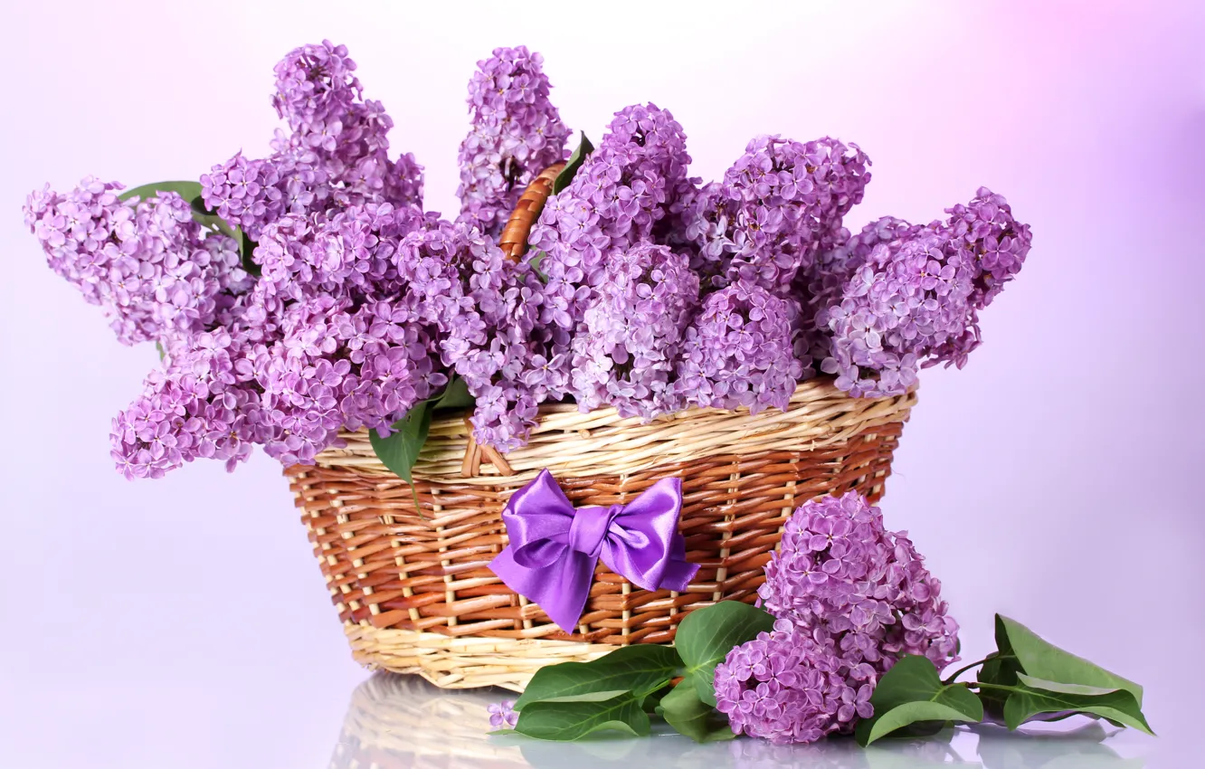 Photo wallpaper purple, leaves, flowers, branches, basket, spring, bow, lilac