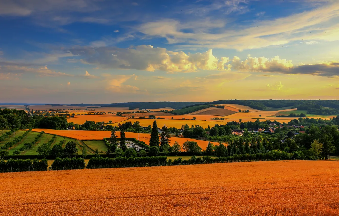 Photo wallpaper clouds, trees, France, field, panorama, France, Champagne-Ardenne, Champagne-Ardenne