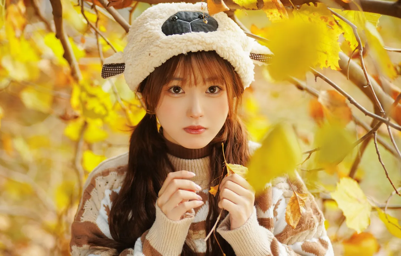 Photo wallpaper Fall, Beautiful, Asian, Model, Woman, Pretty, Japanese, Sweater