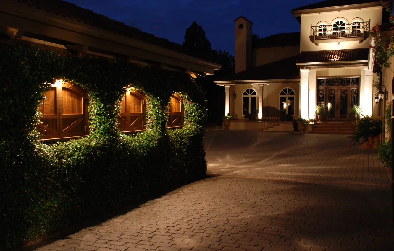 Photo wallpaper night, design, lights, home, lights, mansion, the bushes