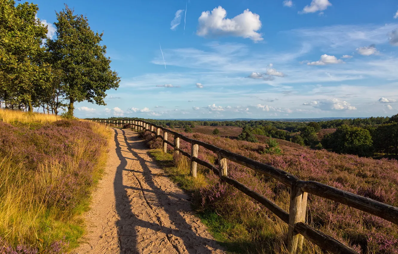 Photo wallpaper road, field, landscape, the fence