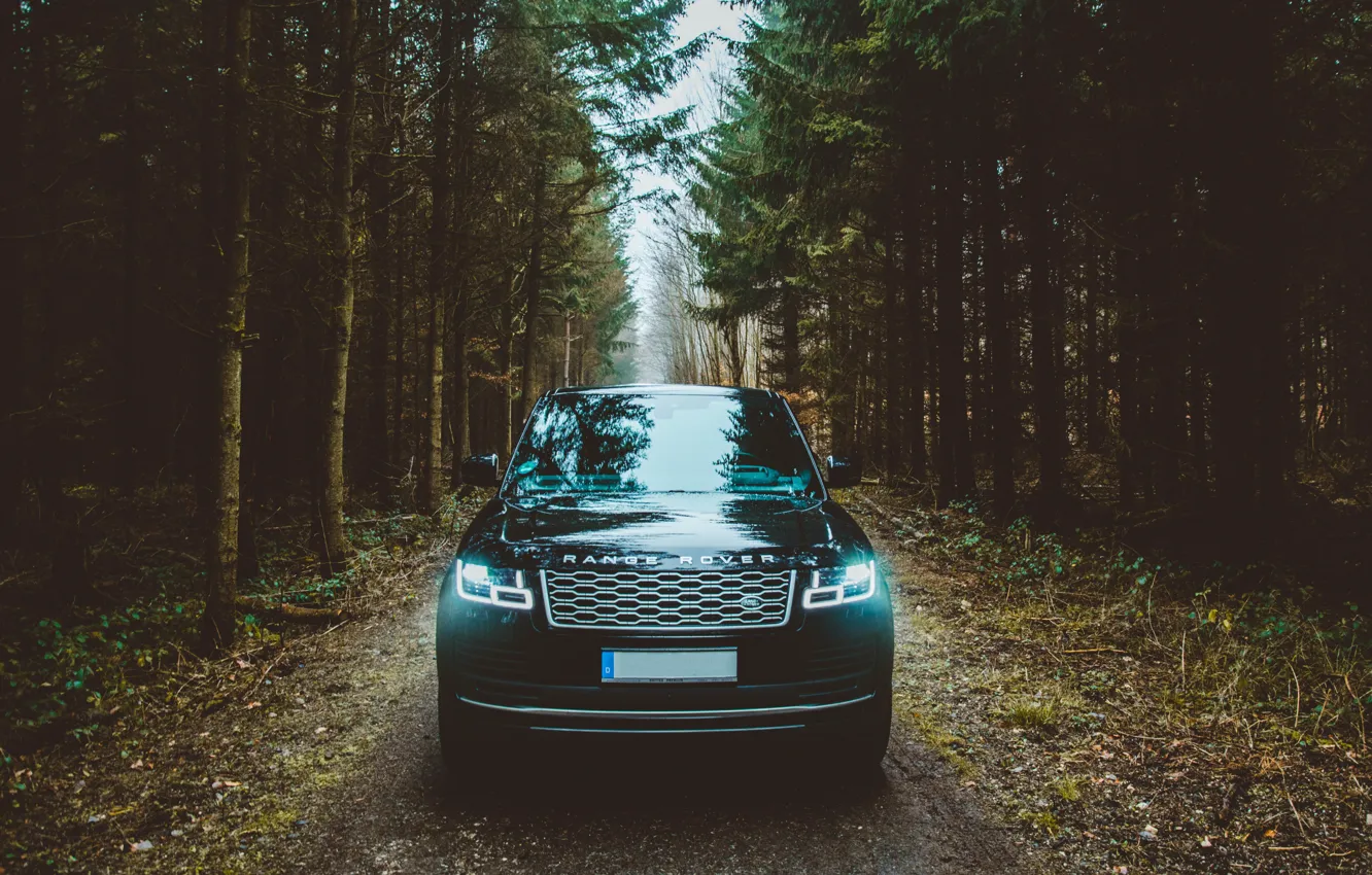 Photo wallpaper lights, Land Rover, Range Rover, trees, wood, Offroad