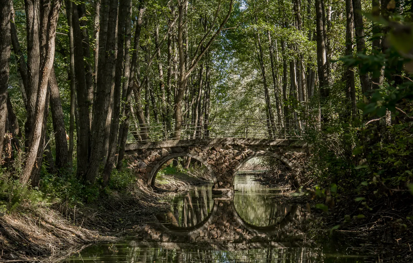 Photo wallpaper autumn, landscape, reflection, the bridge
