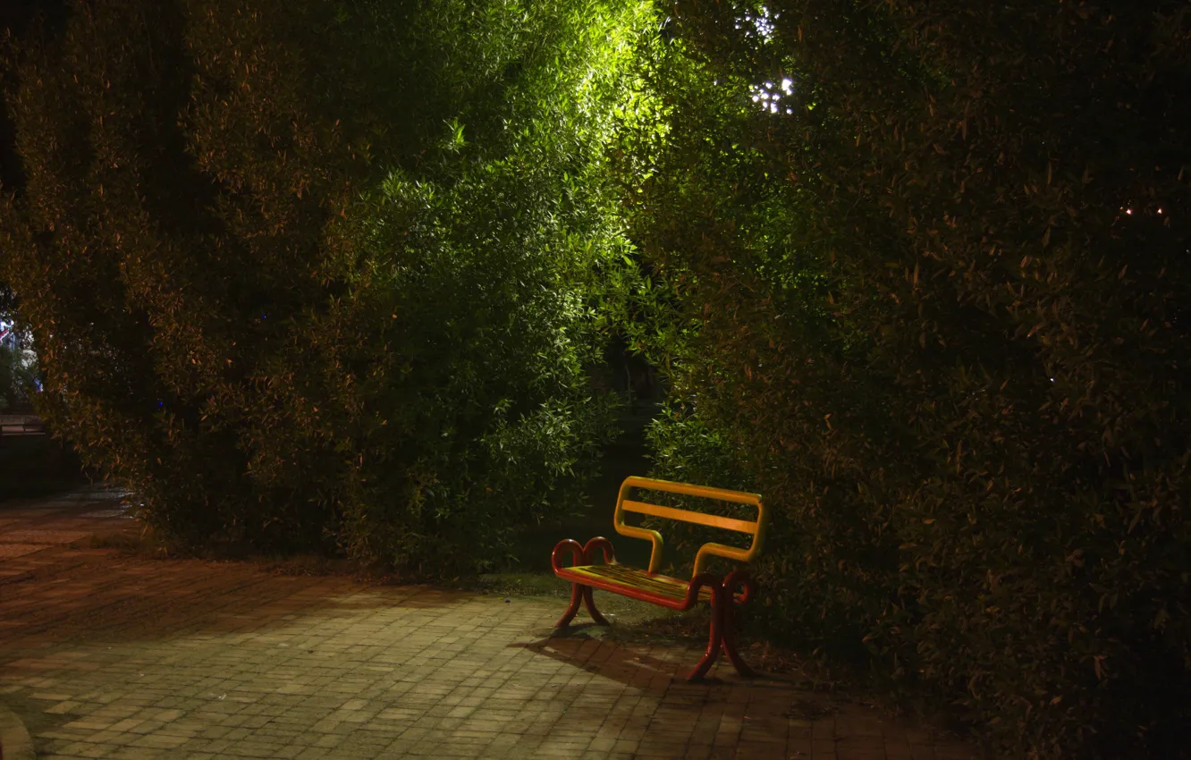 Photo wallpaper green, yellow, night, park, orang, khorramshahr