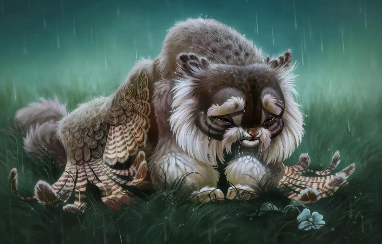 Photo wallpaper flower, rain, Griffin, crying, by Pixxus