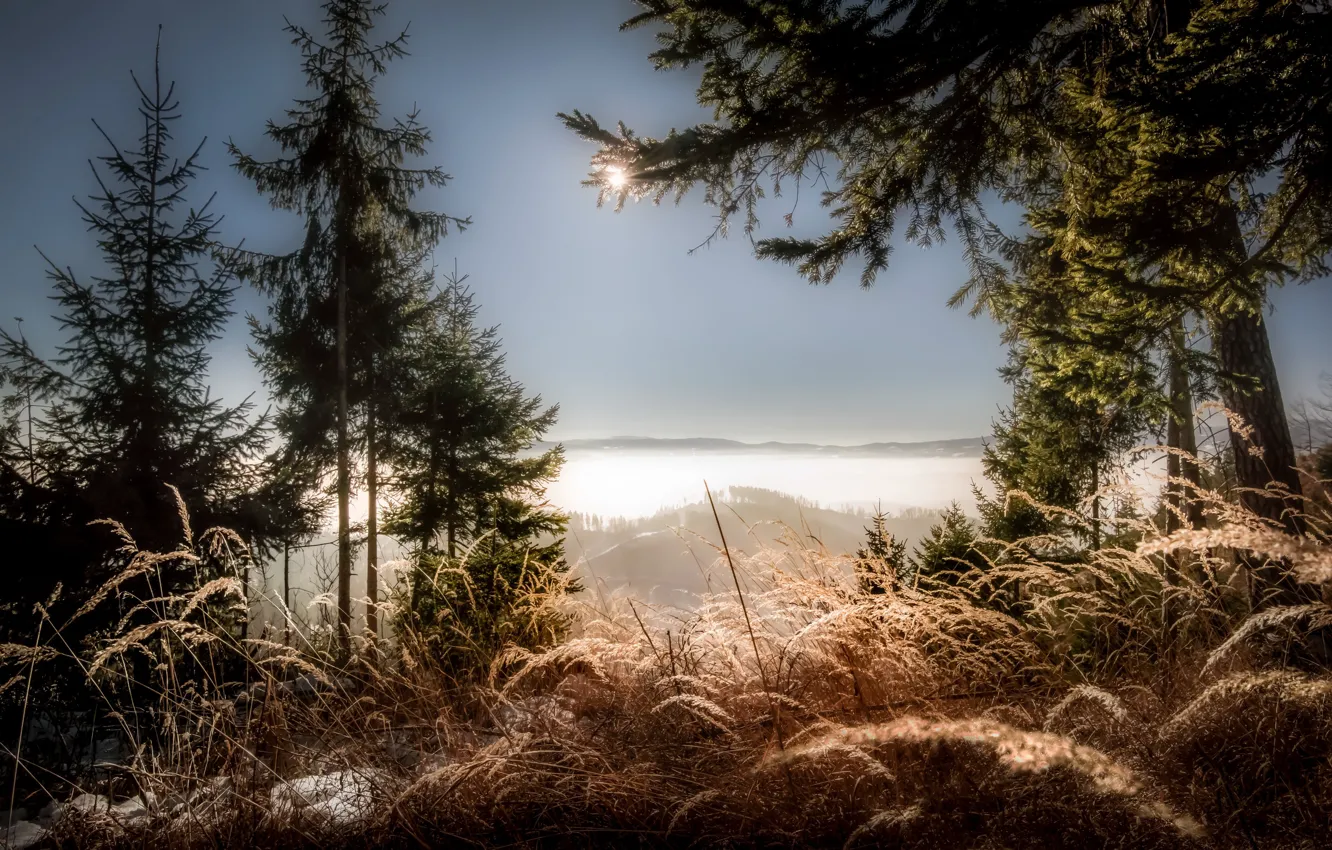 Photo wallpaper mountains, nature, morning