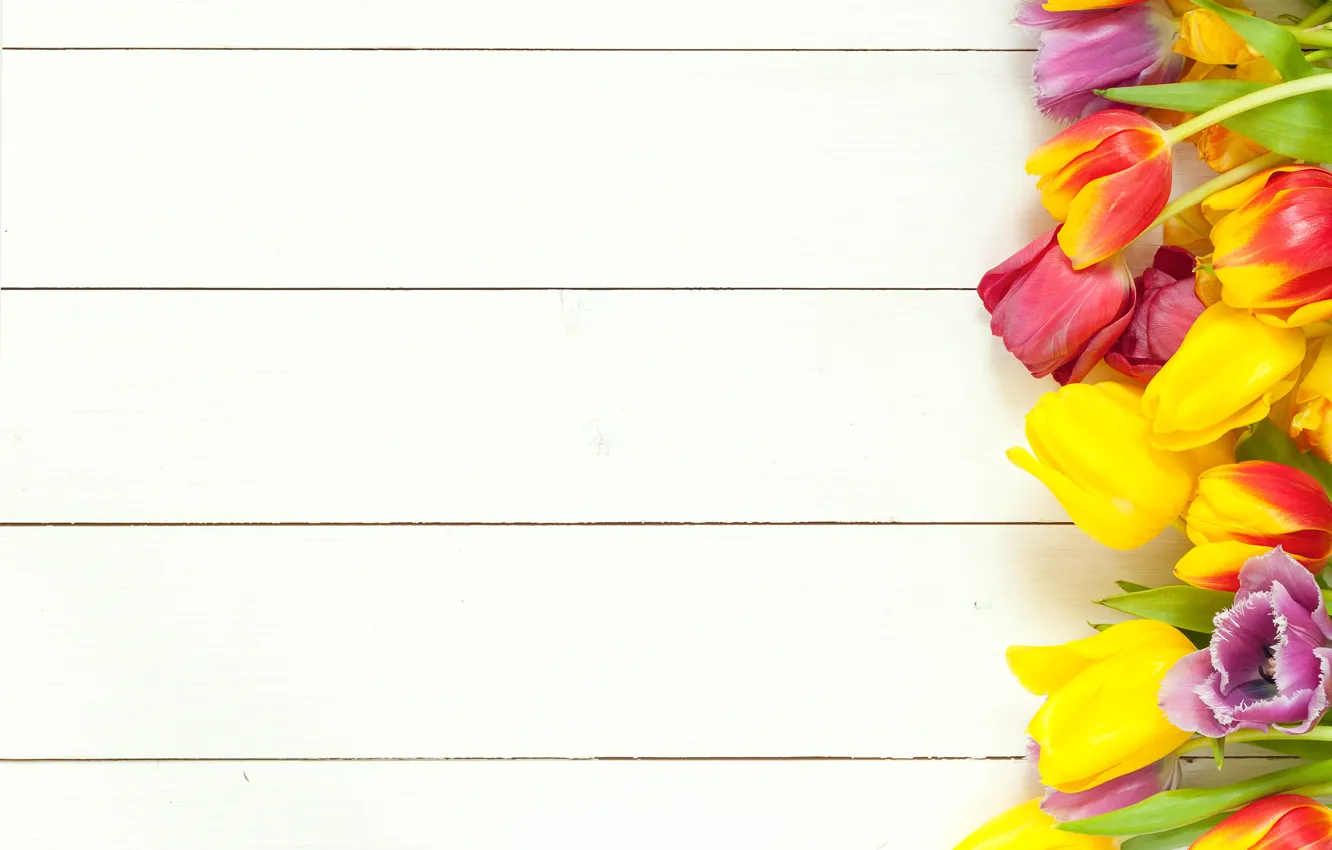 Photo wallpaper flowers, spring, colorful, tulips, fresh, wood, flowers, beautiful