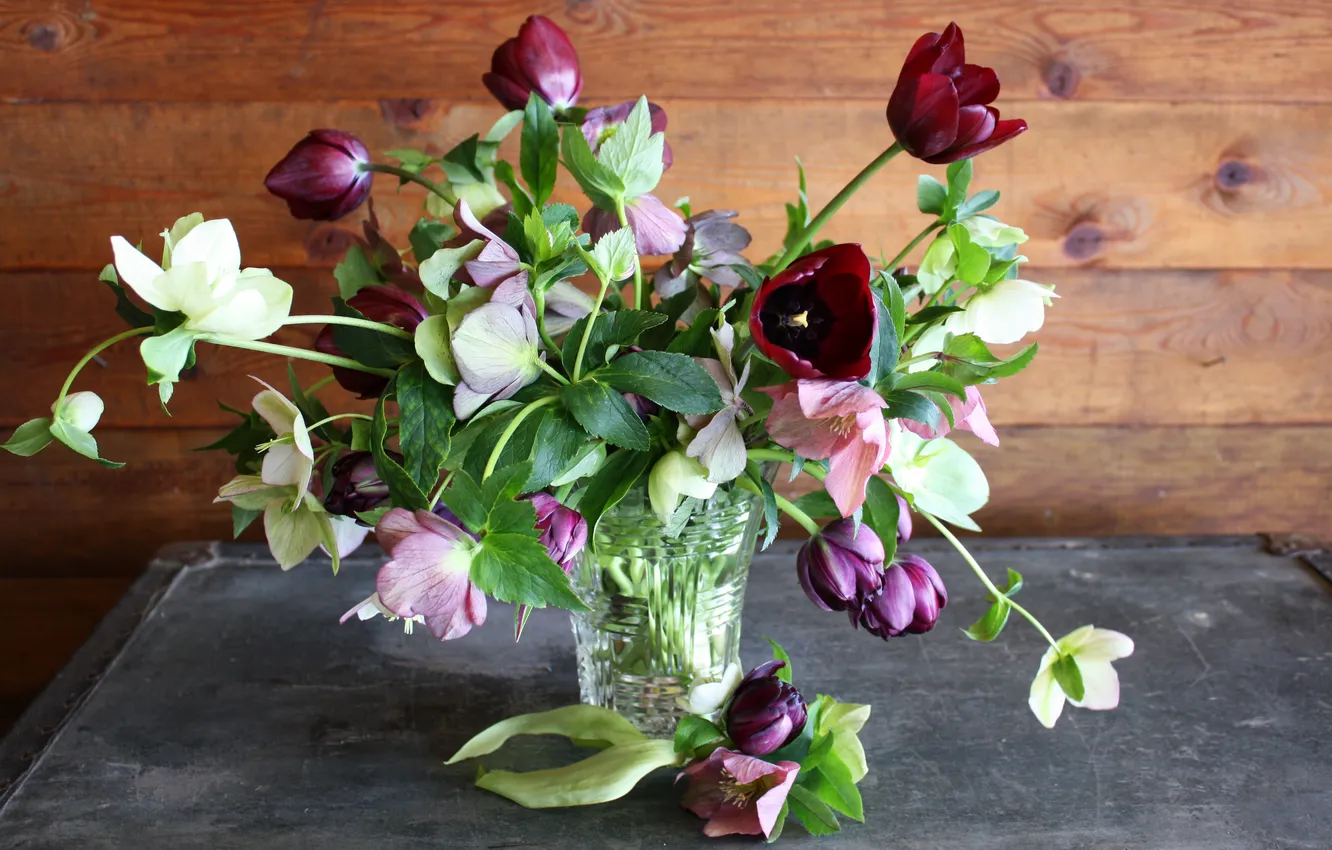 Photo wallpaper flowers, photo, bouquet, tulips, vase, hellebore