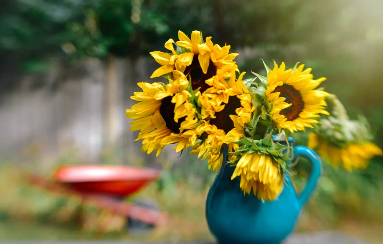 Photo wallpaper sunflowers, flowers, background