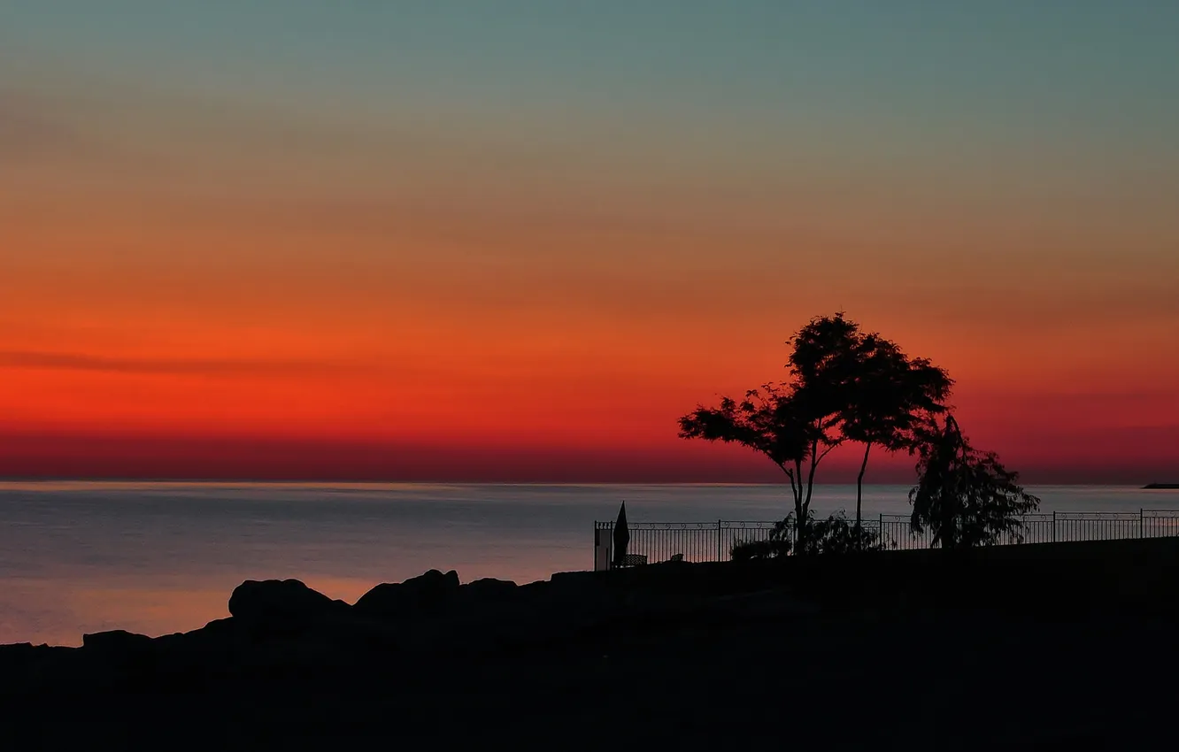 Photo wallpaper sea, the sky, trees, shore, fence, silhouette, glow