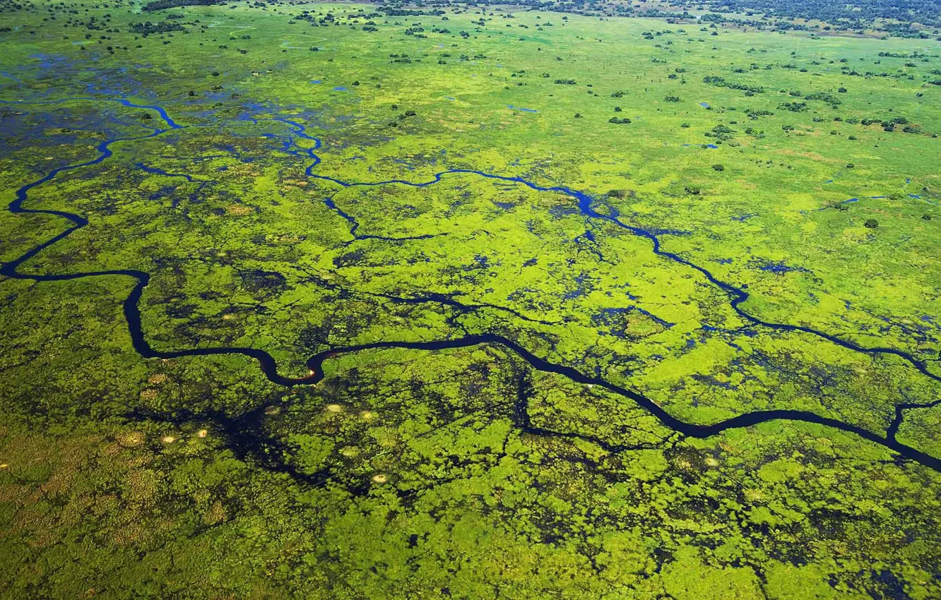 Photo wallpaper river, Brazil, Delta, Mato Gross, The national Park Pantanal
